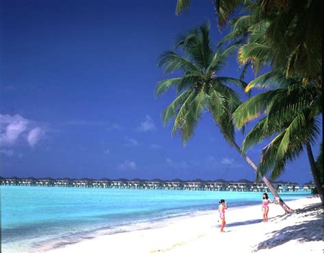 Maldives Best Island With Amazing Beaches World