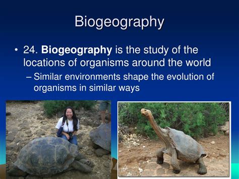 Ppt Chapter 16 The Theory Of Evolution Powerpoint Presentation Free
