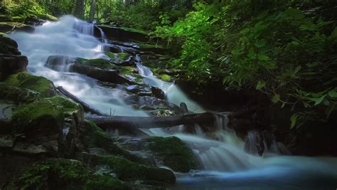 Rowlands Creek Falls In Virginia Lets See America