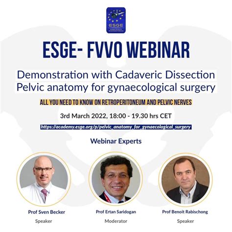 Esge Fvvo Webinar Demonstration With Cadaveric Dissection