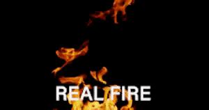 The muvipix.com guide to adobe premiere elements 2021: CINEPUNCH - Transitions I Color LUTs I Pro Sound FX I 9999 ...