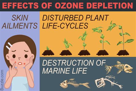 This could be due to chemicals left unchecked. Causes and Effects of Ozone Layer Depletion That are ...