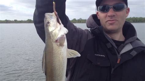 Early Season Walleye Youtube