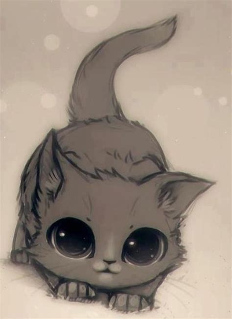 Big Eyed Kitty Kitten Drawing Cute Drawings Anime Animals