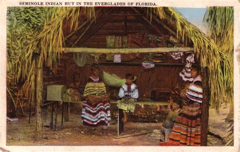 Seminole Indian Hut In The Everglades Of Florida The Seminole Hut Is