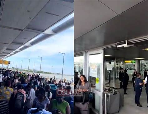 Unattended Bag Prompts Evacuation At Jfk Airport