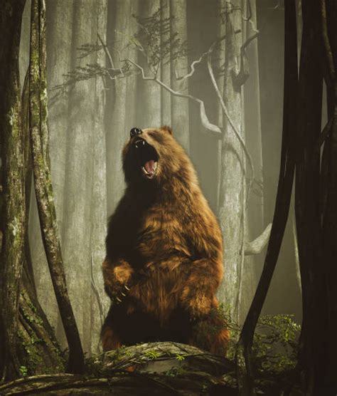 Standing Angry Grizzly Bear