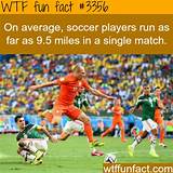 Facts About Soccer Players Pictures