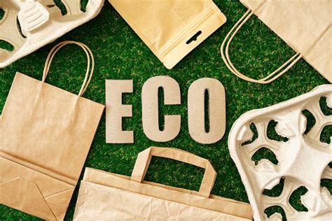 How To Live An Eco Friendly Lifestyle Mova Blog