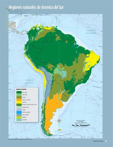 172 la flora de las selvas lluviosas de guayana venezolana, por otra parte, consisten en árboles de hasta 40 metros de altura, como la. Atlas de geografía del mundo by Rarámuri - Issuu