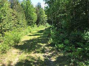 Hunting Camp For Sale In Northern Maine