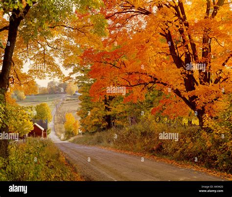 Fall Foliage On Back Farm Road In Vermont Usa New England Stock Photo