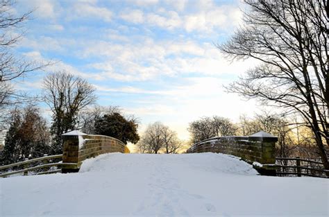 These beautiful winter photos can easily improve the look of your website, blog or social media page and attract more clicks. Blue Sky, Big Dreams: There's No Books Like Snow Books