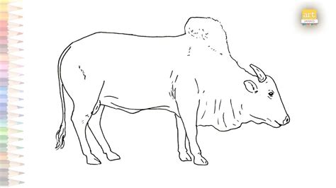 Brahma Bull Drawing Easy Dibujo Del Contorno Del Toro Brahma How To