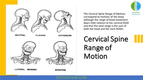 Cervical Spine Range Of Motion Orthofixar 2023