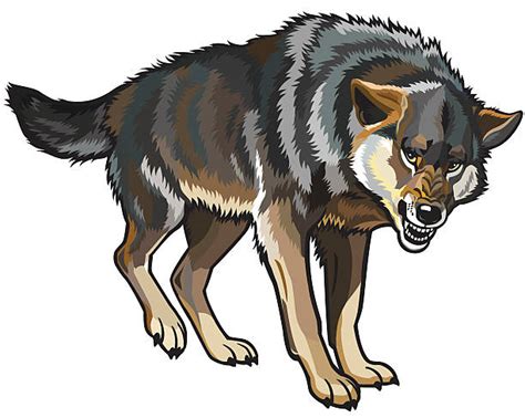 Angry Wolf Illustrations Royalty Free Vector Graphics And Clip Art Istock