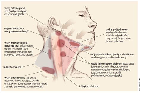 Diagnostyka guzów szyi u dorosłych Artykuły Medycyna Rodzinna