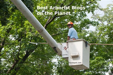 Our certified arborists routinely attend or lead training sessions and take classes to stay current as to the latest products and. Top 30 Arborist Blogs, Websites & Influencers in 2020