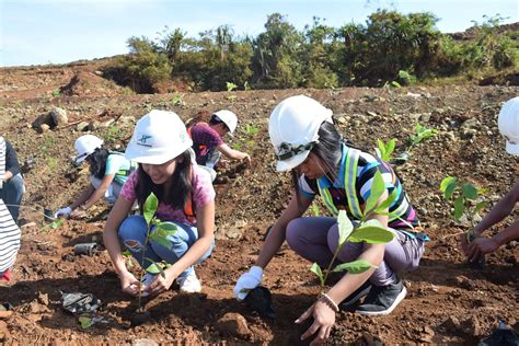 Students Learn About Environment Plant 35k Trees — Nickel Asia