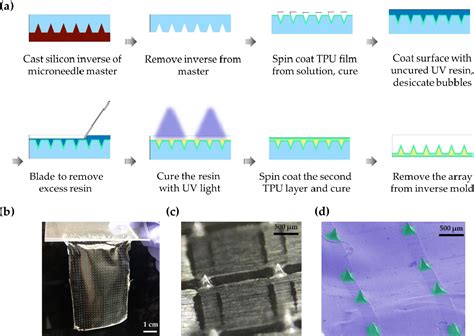 Figure From Microneedle Patterning Of D Nonplanar Surfaces On Implantable Medical Devices