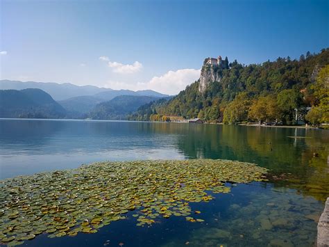 Bled Europe Lake Nature Slovenia Tranquil Travel Vacation Water