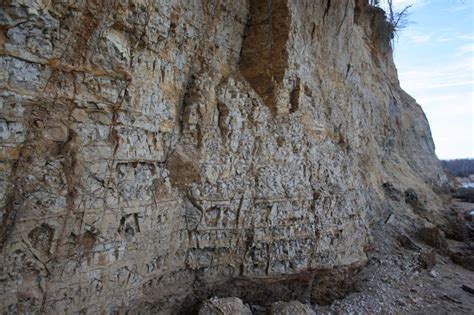 Calvert Cliffs State Park In Maryland Has A Fossil Beach