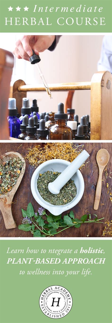 Learn A Plant Based Approach To Healing With The Herbal Academy The