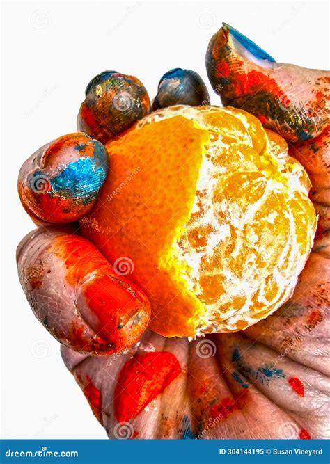 Painter S Hand Holding Half Peeled Orange Stock Image - Image of