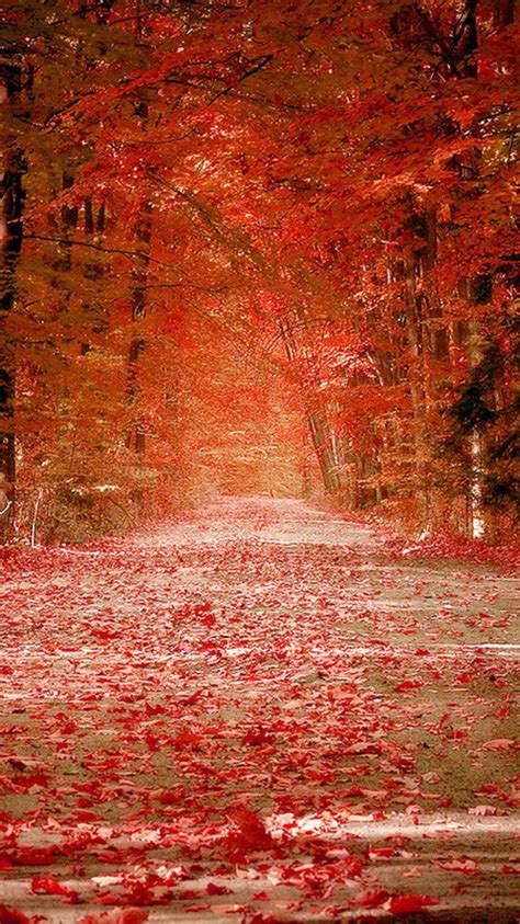 Red Fall Wallpapers Top Free Red Fall Backgrounds Wallpaperaccess