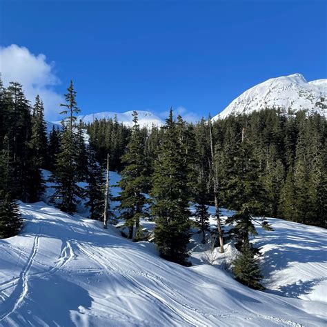 Eaglecrest Ski Area Alaska S Best Kept Secret SnowBrains