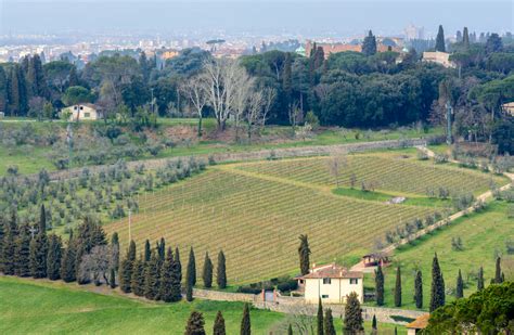 Terreno Agricolo Cosa Sapere Prima Di Acquistare Zaramella