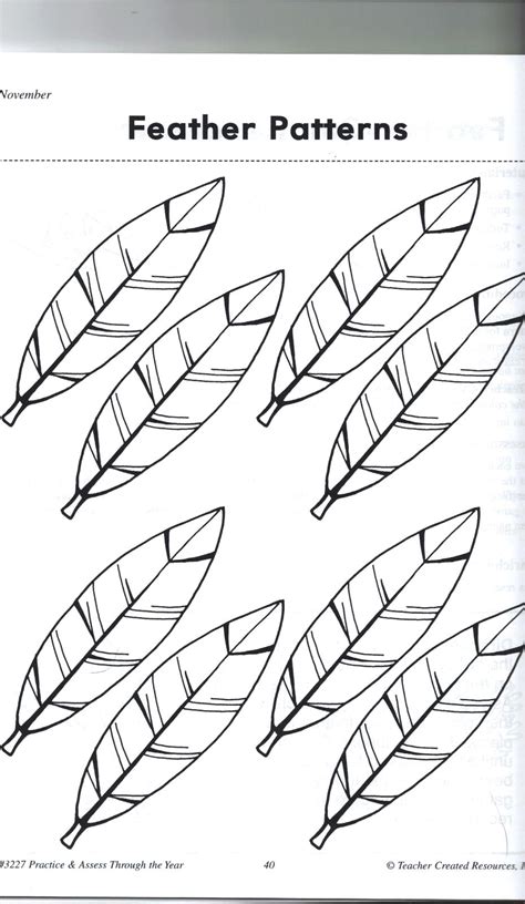 Free Printable Feather Coloring Pages Coloring Pages