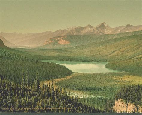 No Fake Fragrance Emerald Lake Yoho National Park British Columbia