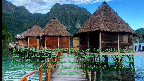 Keindahan alam bawah laut, jernihnya air dan. Pantai Ora Maluku - YouTube