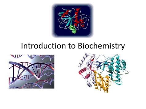 ppt introduction to biochemistry powerpoint presentation free download id 1999801
