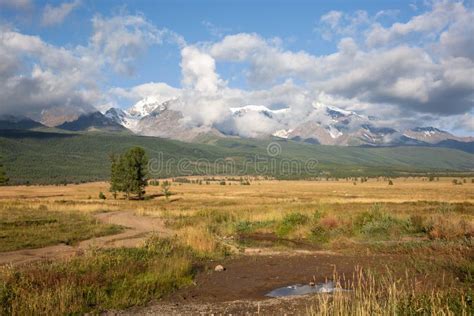Altai Snow Mountain And Steppe Forest Stock Photo Image Of Extreme