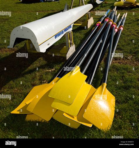 Pile Of Oars Stock Photo Alamy