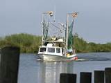 Photos of Boat For Sale Louisiana