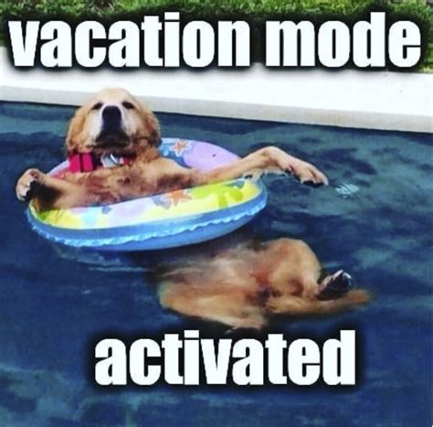 These Memes About Summer Vacations Will Make You Want To Pack Summer Time Is Upon Us Memes