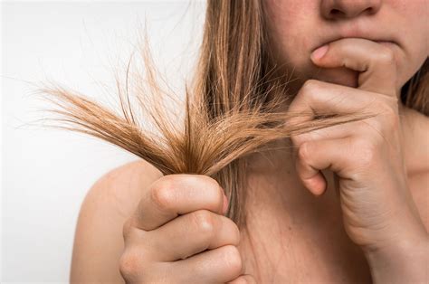 Hair Breakage Common Causes And How To Fix Them Butterfly Hair Salon