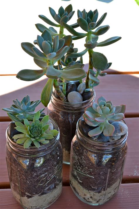 The Domestic Doozie Mason Jar Succulent Planters