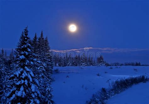 Full Moon With Snow Stock Image Image Of Spruce