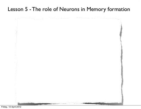 Lesson 5 The Role Of The Neuron In Memory Formation 2012 Sh