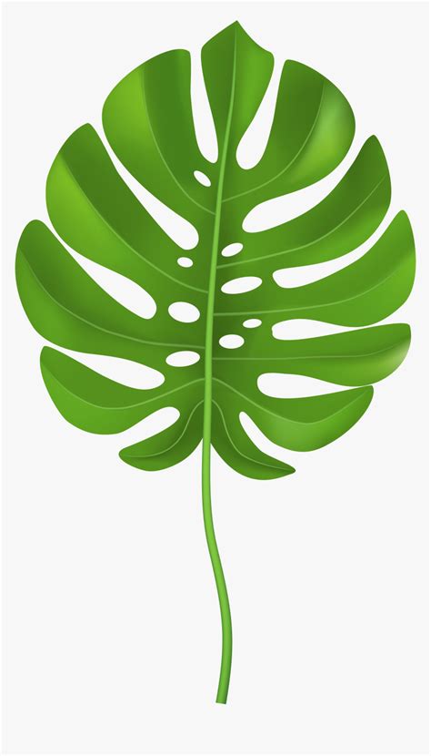 Tropical Palm Leaf Transparent Png Clip Art Image Clip Art Palm Leaf Png Download
