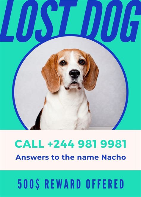 Lost Dog Flyer Template