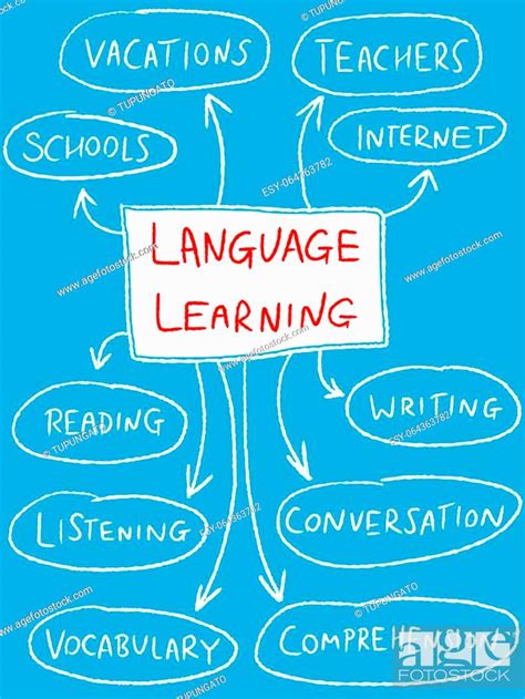 Language Learning Mind Map Education Doodle Illustration Stock