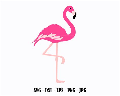 Flamingo Svg Pink Flamingo Svg Files Flamingo Circut Cut Files Etsy