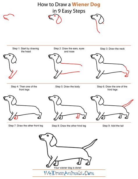 It Is So Cute When Done And Dogs Are My Favorite Easy Drawings