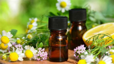 9 Natural Healing Essential Oils To Have In Your Home Collective