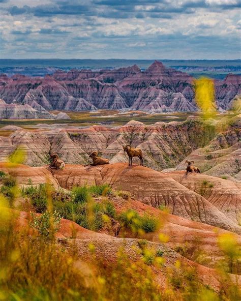 Badlands National Park Travel Guide All Things You Need To Know The